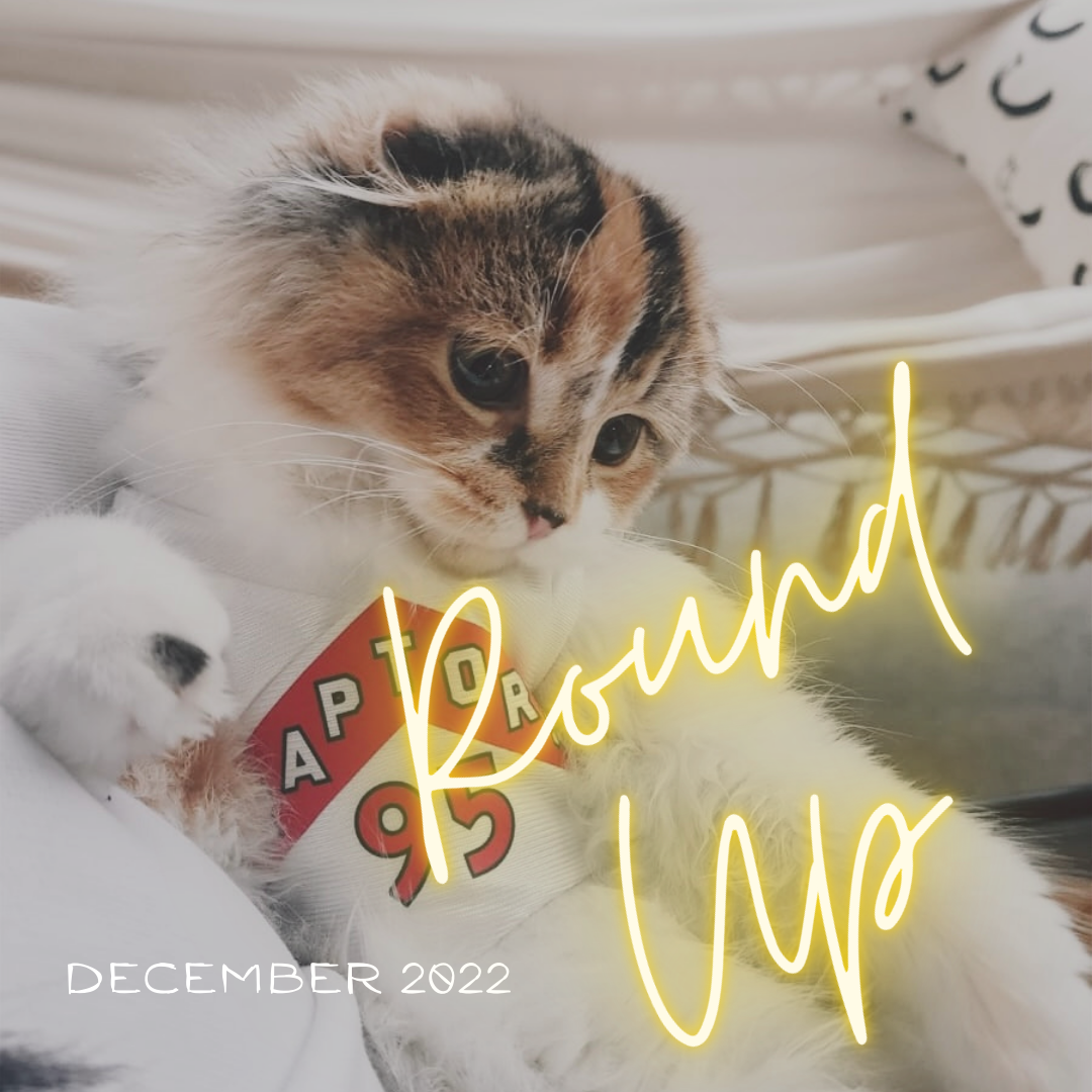 December 2022 Roundup blog post by tattoo artist Lu Loram Martin, in Toronto, Canada