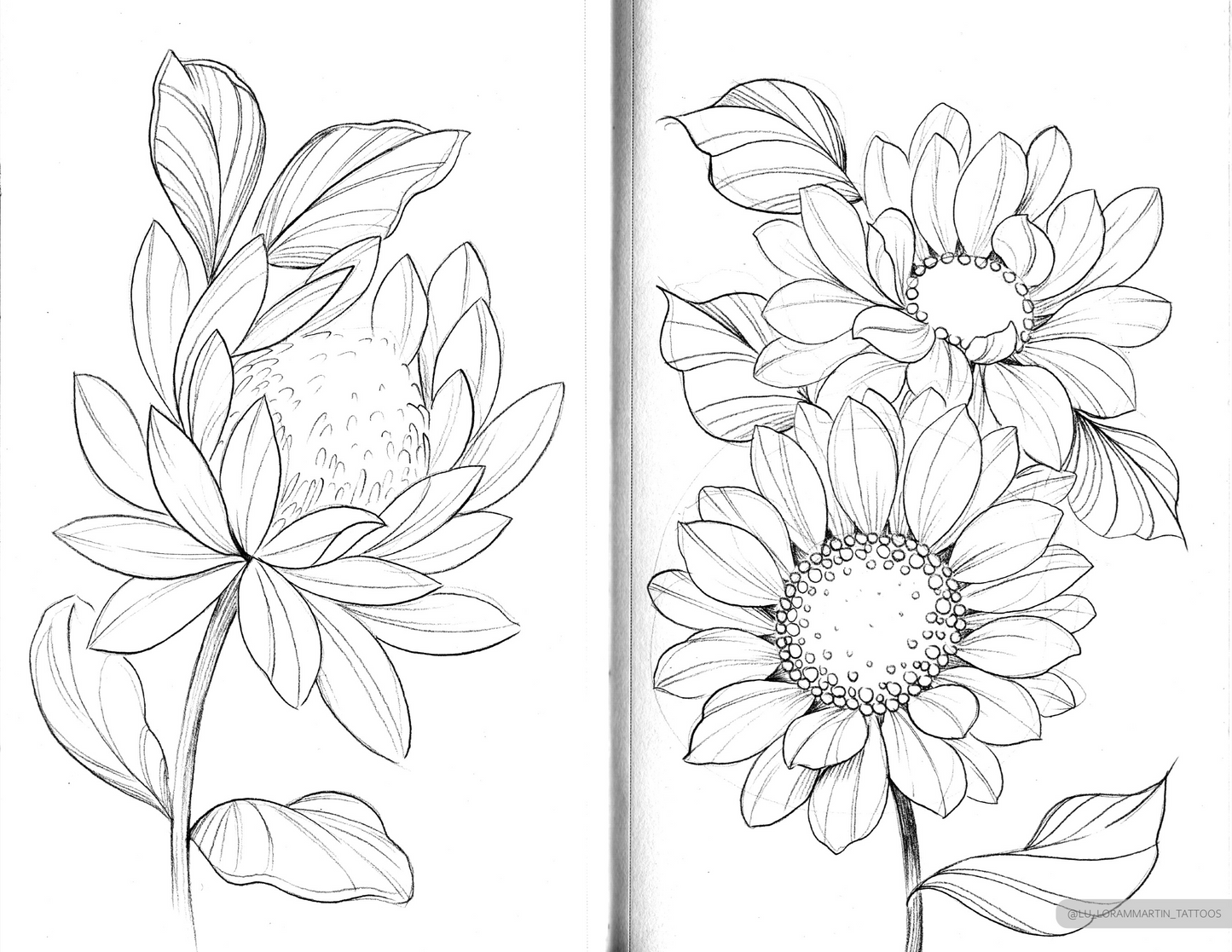 beautiful soft protea and sunflower sketches from "floral sketchbook vol.1" by lu loram martin, top large bold blackwork flower tattoo specialist, and illustrator, based in toronto, canada, 