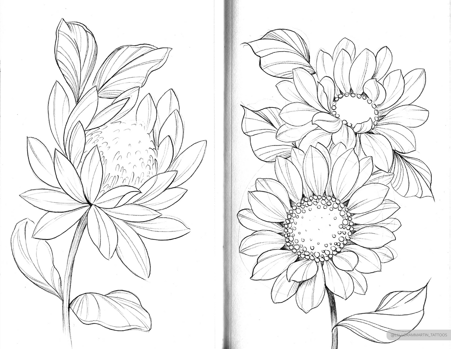 beautiful soft protea and sunflower sketches from "floral sketchbook vol.1" by lu loram martin, top large bold blackwork flower tattoo specialist, and illustrator, based in toronto, canada,