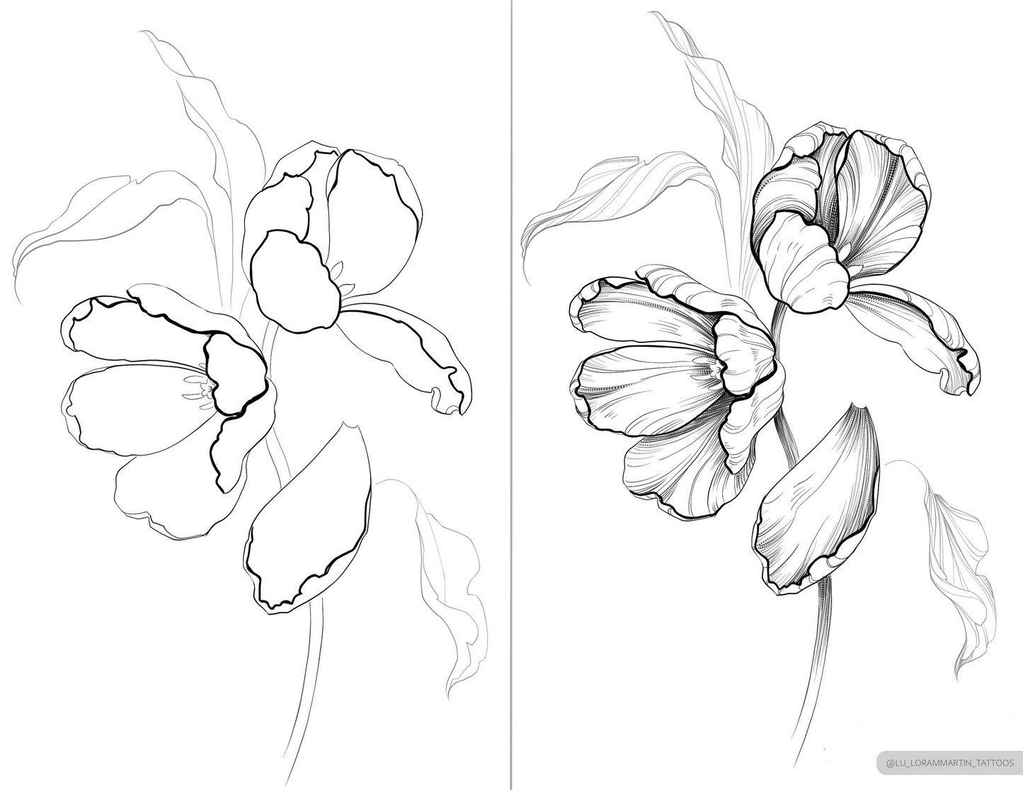 A two page spread of beautiful tulip drawing from "floral sketchbook vol.1" by lu loram martin, top large bold blackwork flower tattoo specialist, and illustrator, based in toronto, canada, from "floral