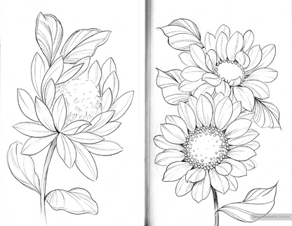 beautiful soft protea and sunflower sketches from "floral sketchbook vol.1" by lu loram martin, top large bold blackwork flower tattoo specialist, and illustrator, based in toronto, canada, 