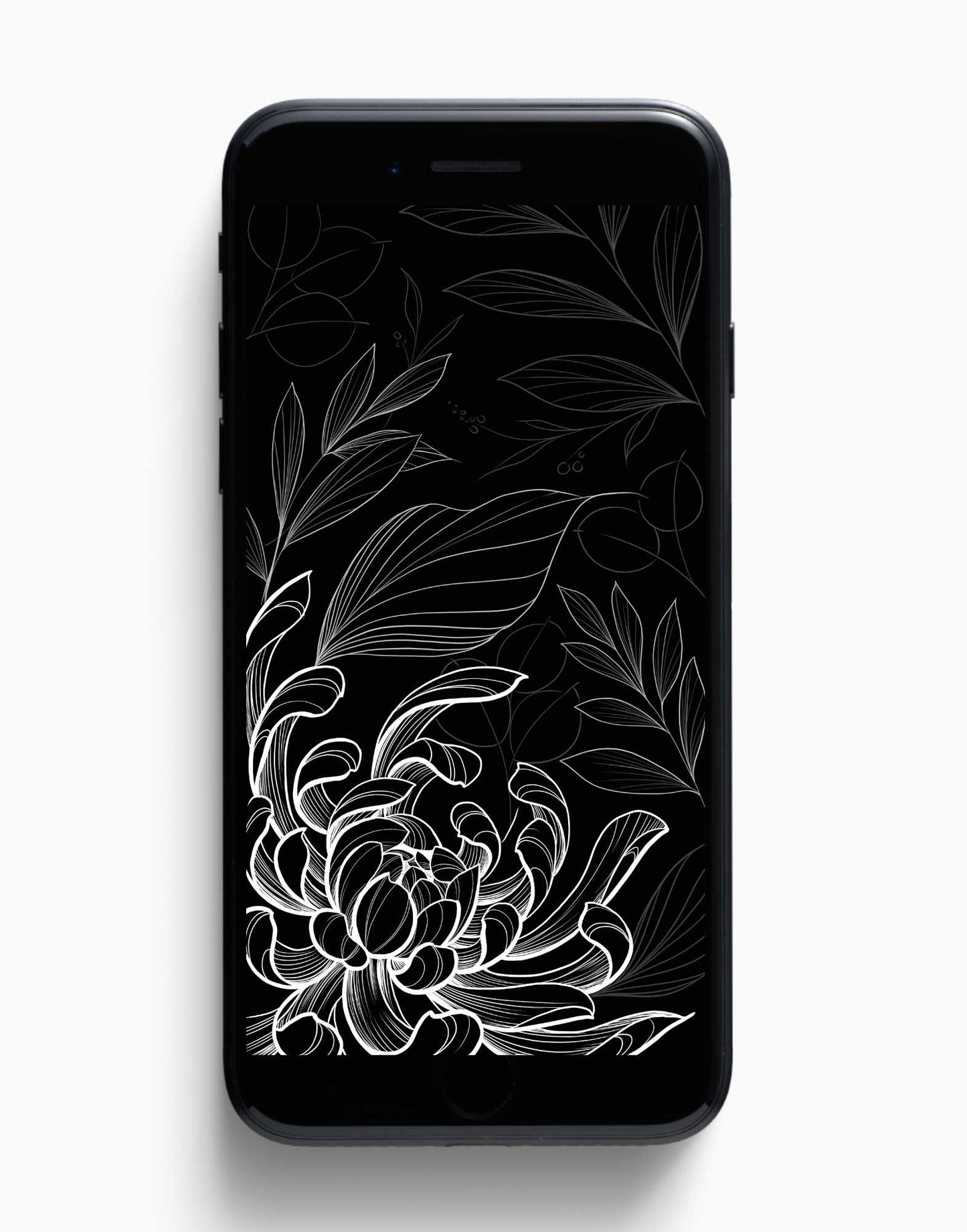 Delicate Chrysanthemum illustration phone background, white florals on black, by Lu Loram-Martin. Toronto tattoo artist and illustrator